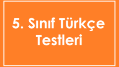 5. Sınıf Türkçe Sözcükte Anlam Testi Çöz