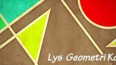 2018 LYS Geometri Konuları Soru Dağılımı
